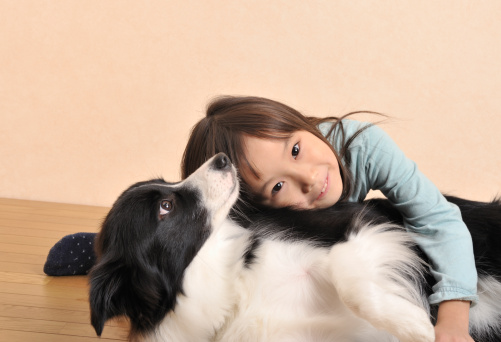 how are collies with children